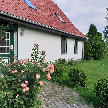 Oeko-Ferienhaus Rappin Exteriör bild