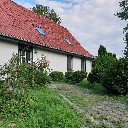 Oeko-Ferienhaus Rappin Exteriör bild