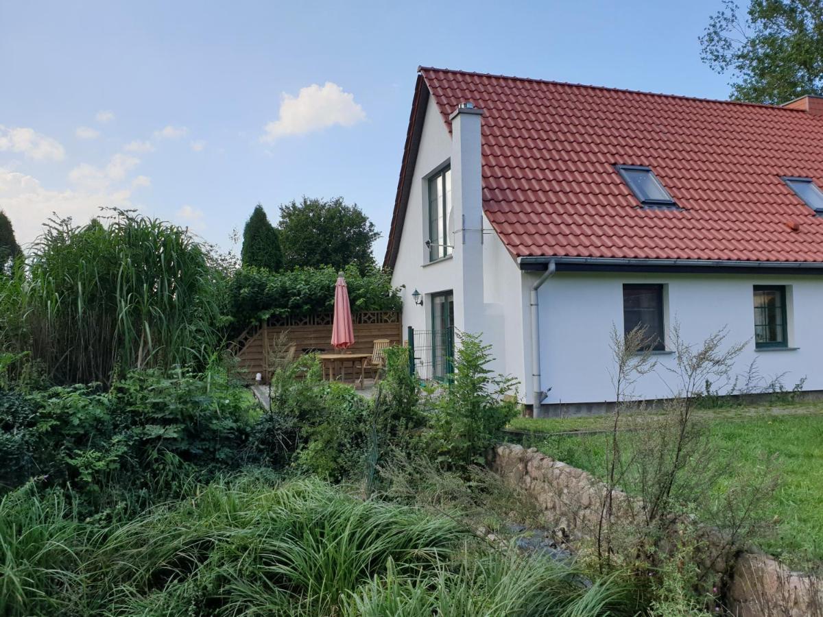 Oeko-Ferienhaus Rappin Exteriör bild