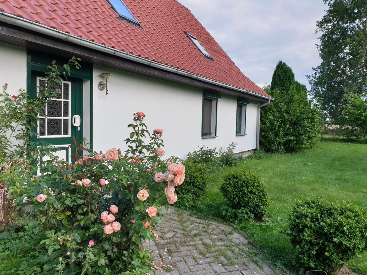Oeko-Ferienhaus Rappin Exteriör bild