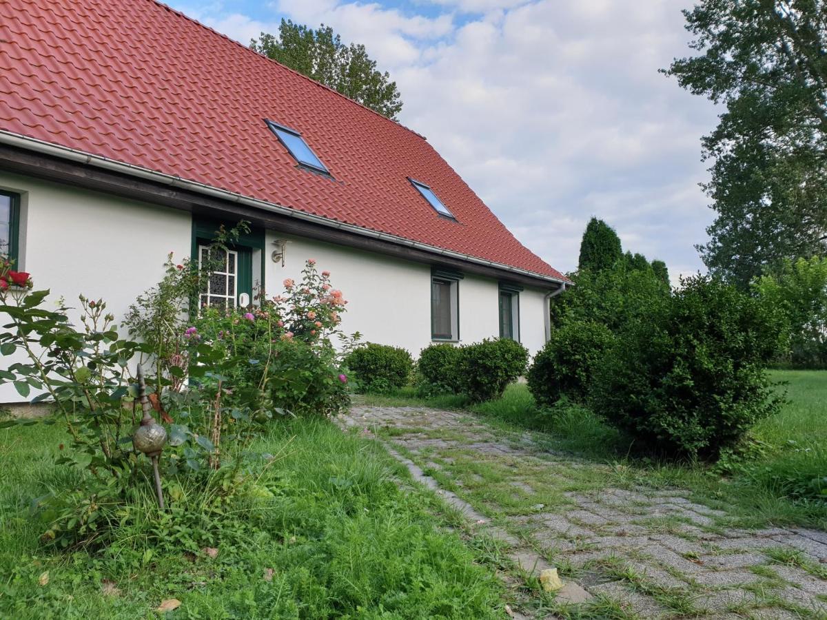 Oeko-Ferienhaus Rappin Exteriör bild